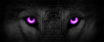 wp-1441646139727 image