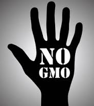 wp-1450808623156 image