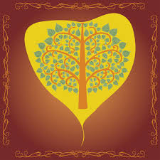 wp-1451329198447 image