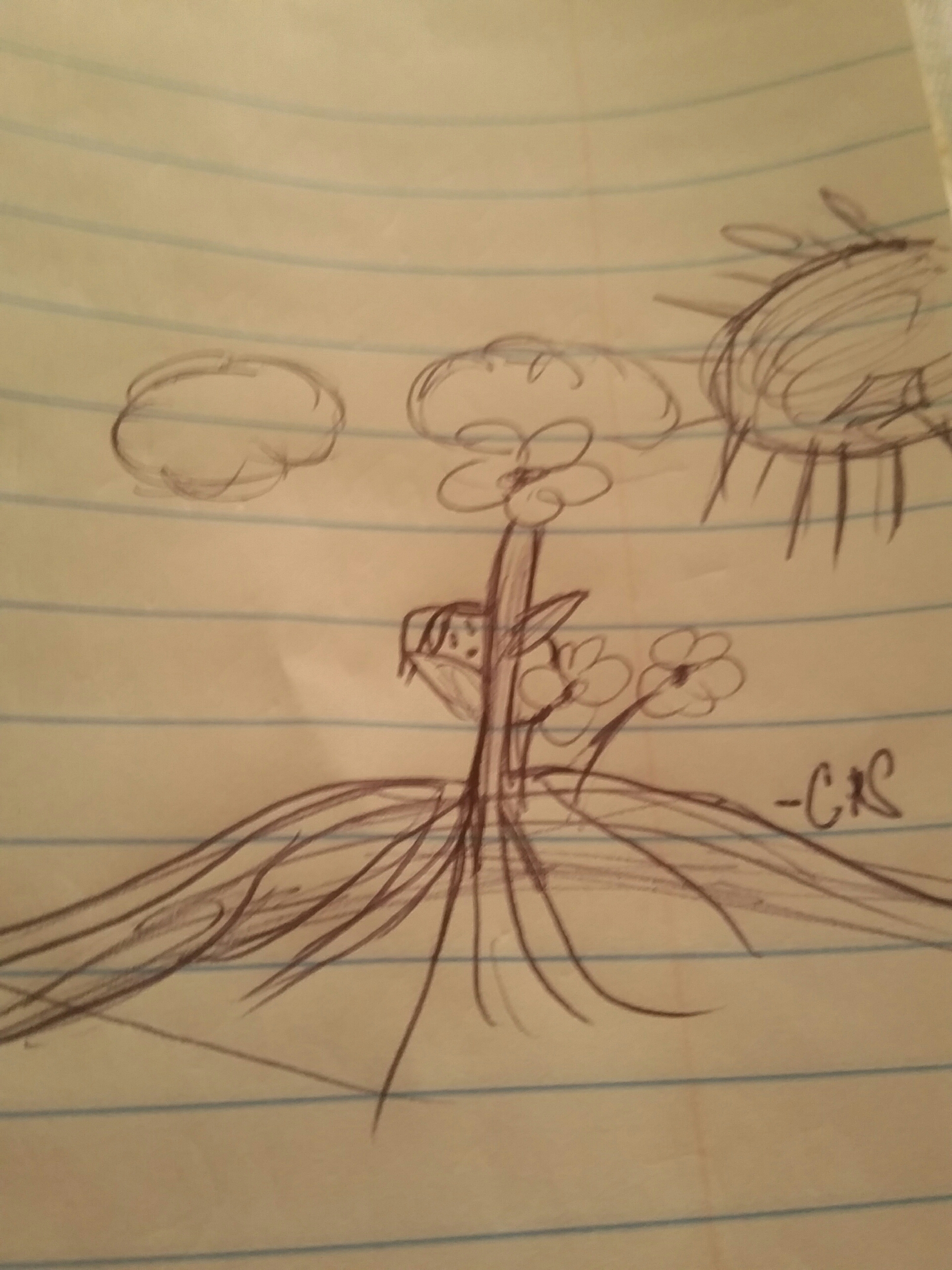 wp-1451768604651 image