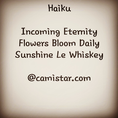 IMG_20171119_165846_314